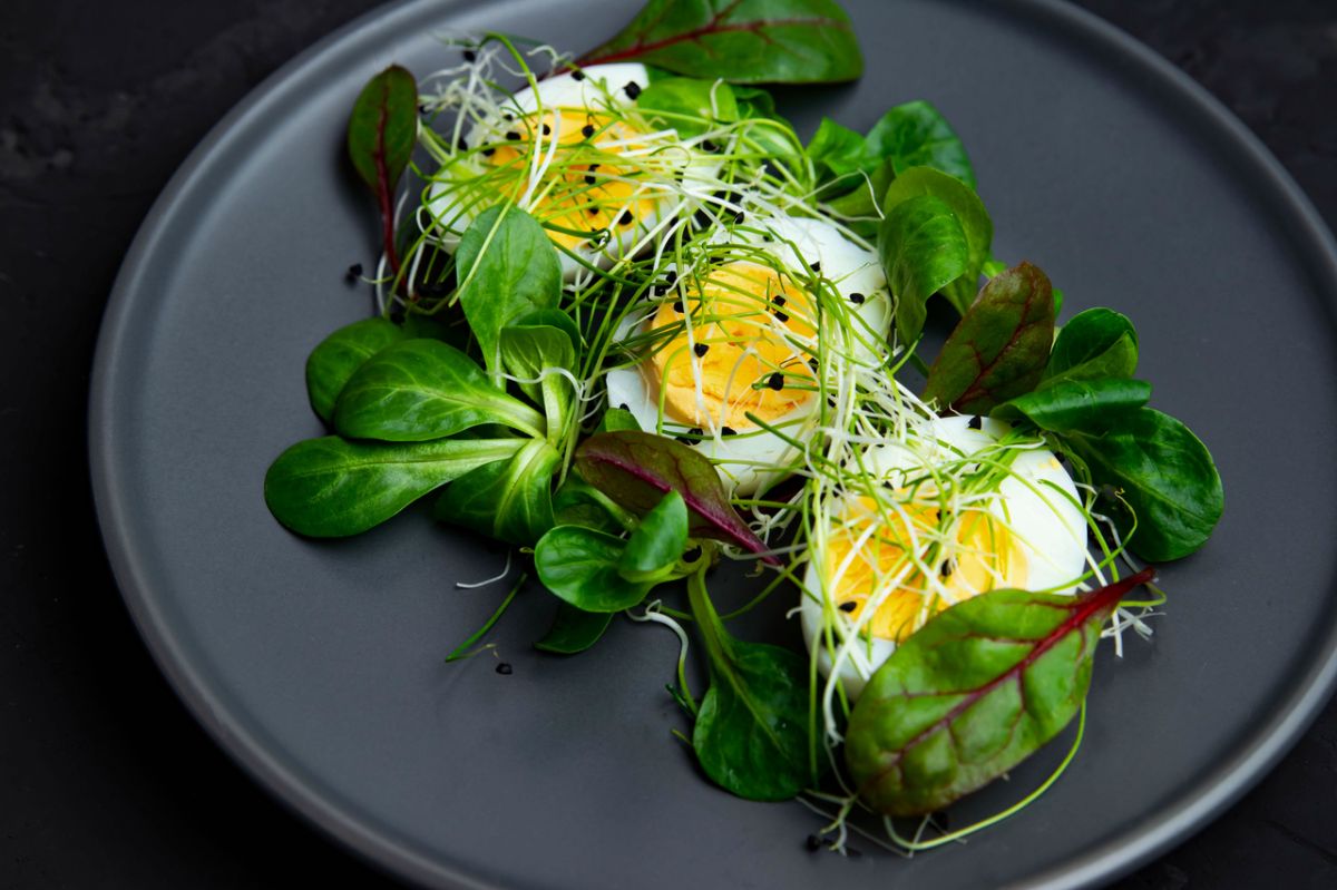 Découvrez les aliments les plus sains qui transforment votre assiette