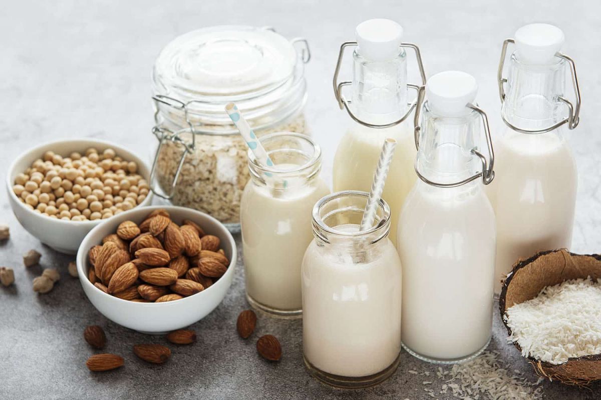 Explorer la cuisine végétale : recettes créatives avec les laits végétaux