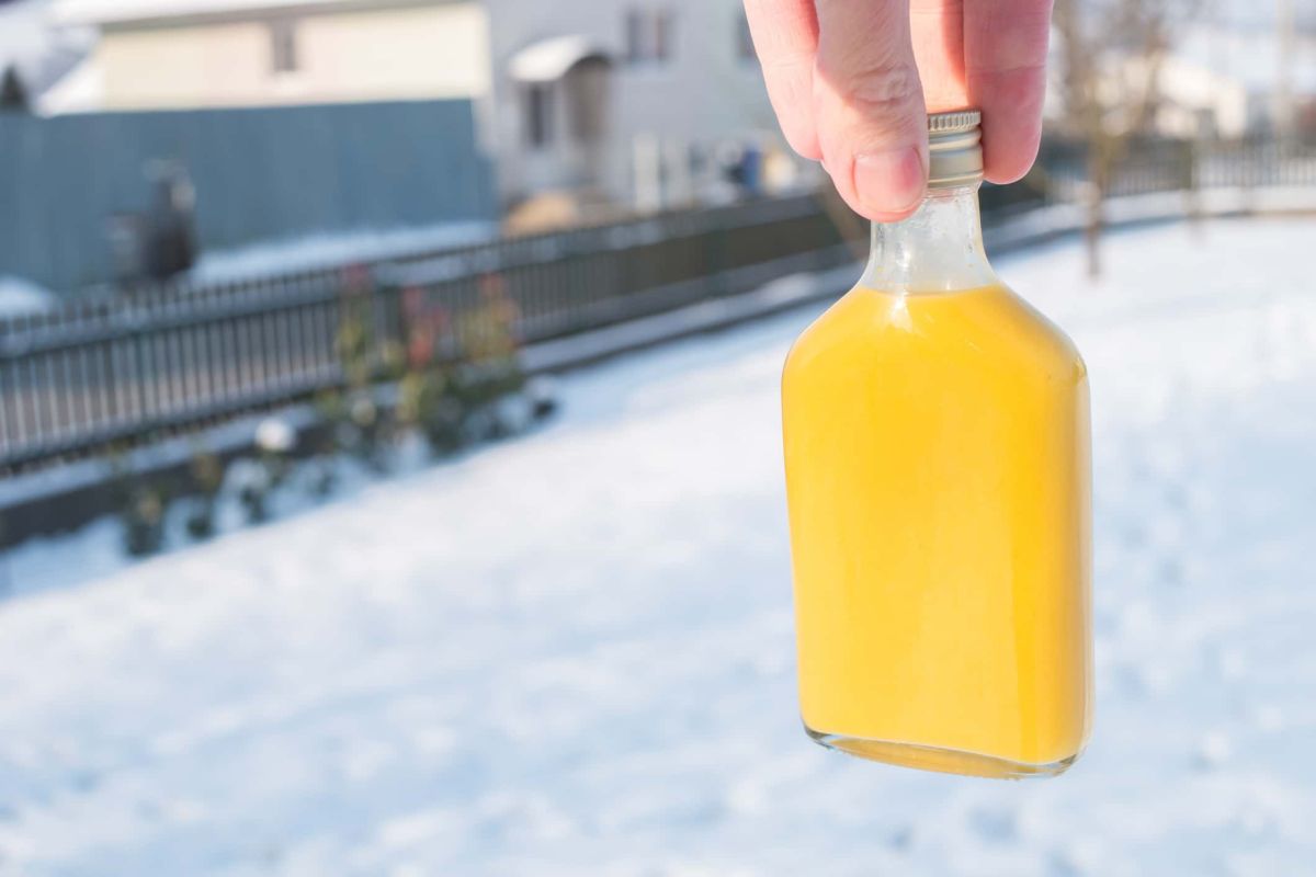 Boostez votre immunité cet hiver avec le ginger shot