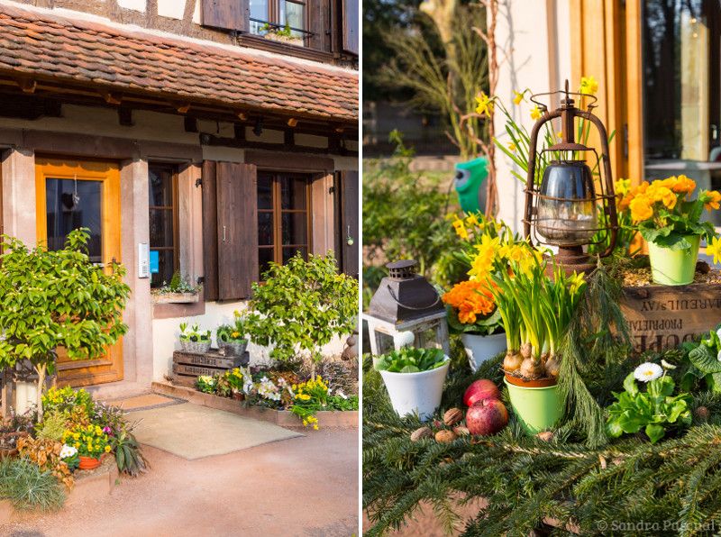 Découvrez le charme des chambres d'hôtes d'Anne à Strasbourg