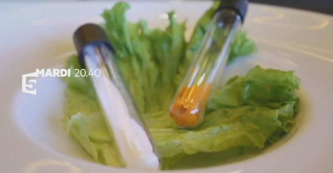 Un monde sans viande : le défi de l'alimentation de demain