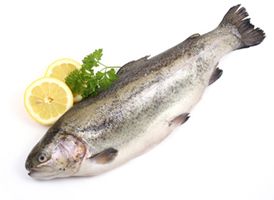 Le poisson : un danger pour votre santé ?