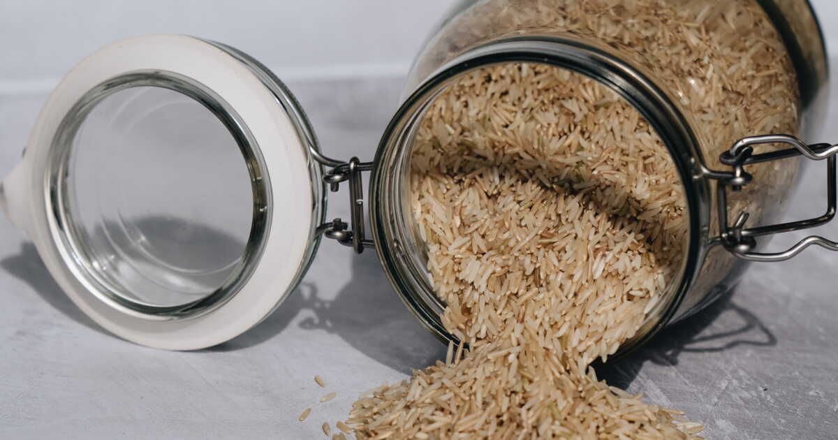 Découvrez les secrets surprenants du riz