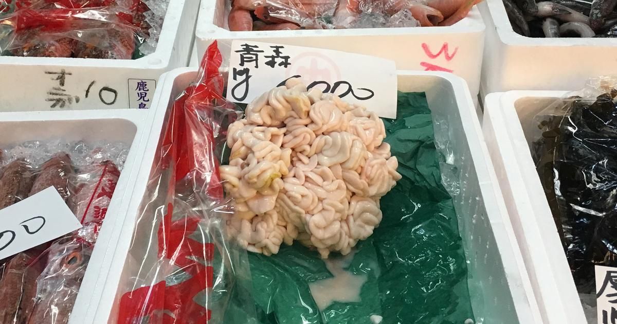 À la découverte du shirako, le mets controversé du Japon