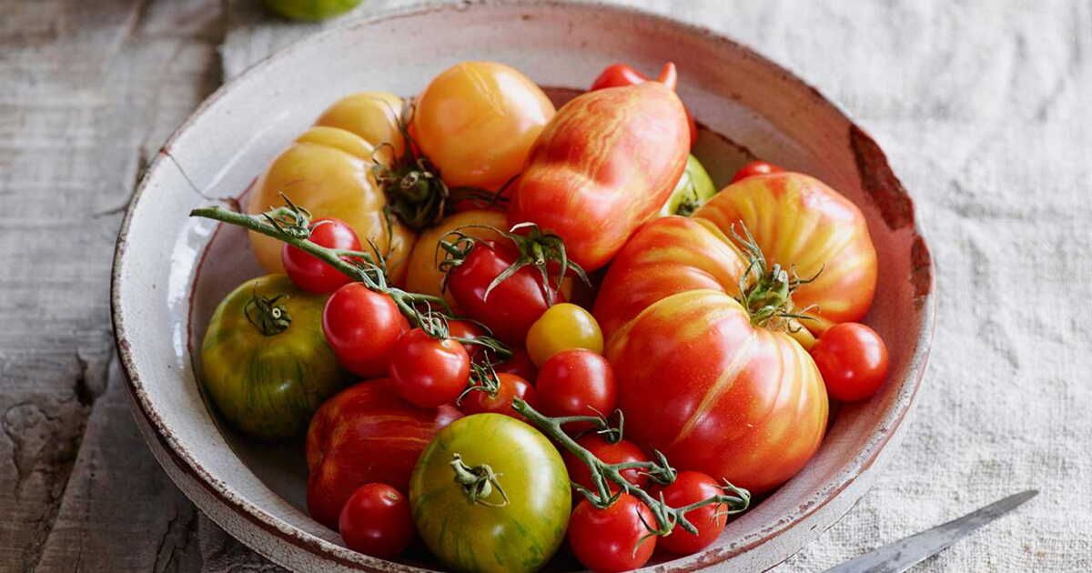 Les tomates, ces légumes-fruits stars de l'été