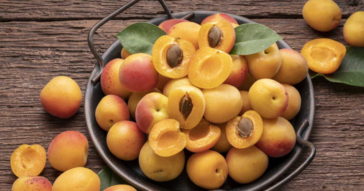 Astuces pour conserver vos abricots et éviter les erreurs fatales
