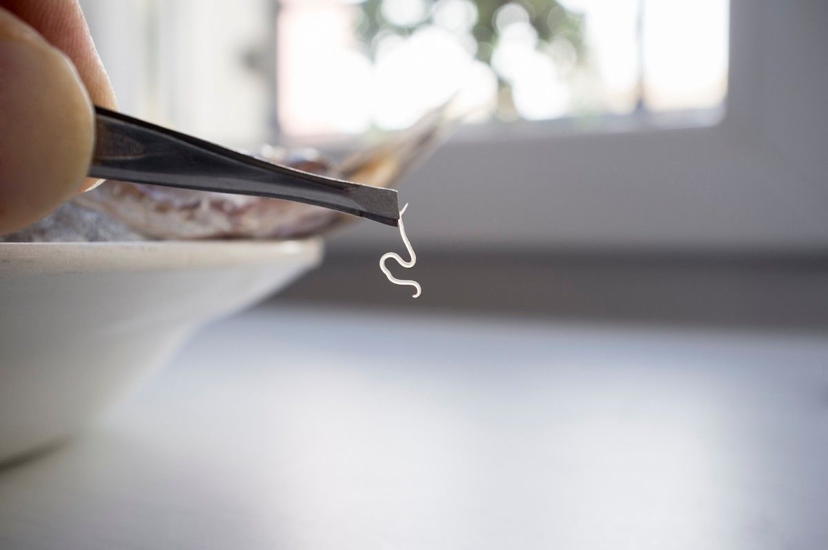 Sushi, ceviche et les parasites : comment se protéger des infections
