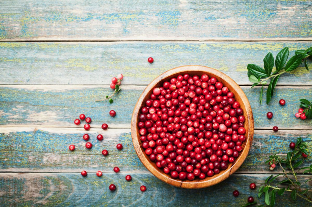 Cranberries : 6 recettes faciles pour une explosion de saveurs sucrées et salées