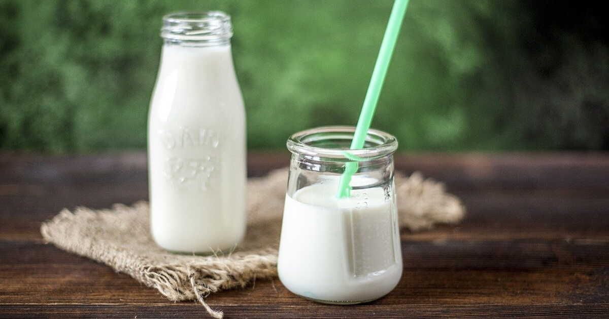 Transformez le petit lait : des recettes créatives à découvrir
