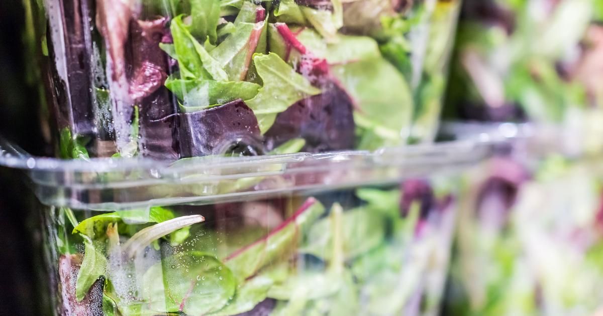 Décryptage des idées reçues sur la salade : ce qu'il faut vraiment savoir