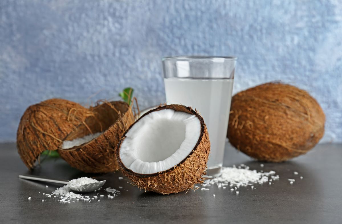Les trésors bien-être de la noix de coco révélés