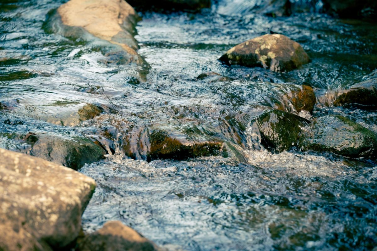 Les dangers cachés de la tendance à l'eau brute révélés par les experts