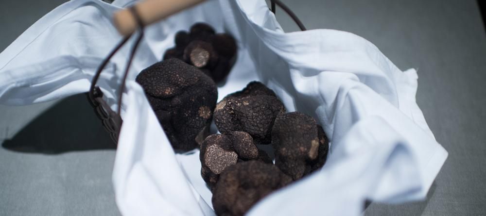 Découvrez la magie de la truffe en ligne