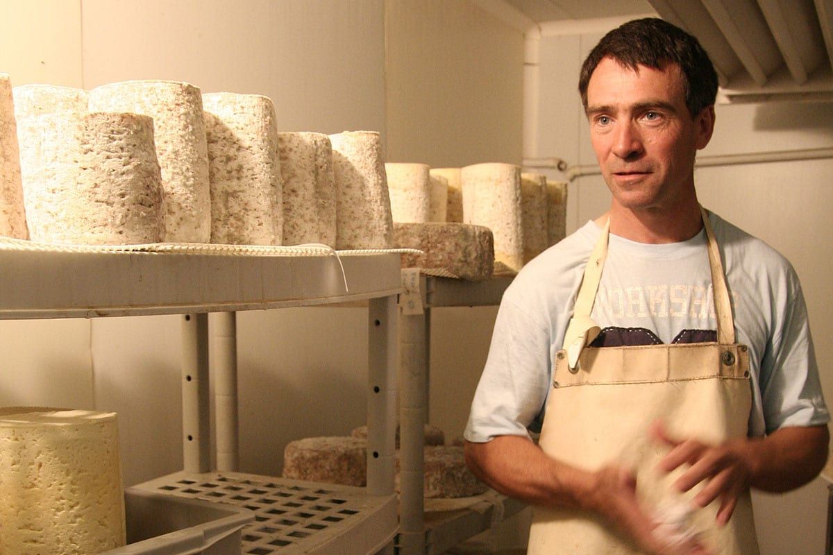 Les secrets cachés du fromage industriel : ce qu'on ne vous dit pas