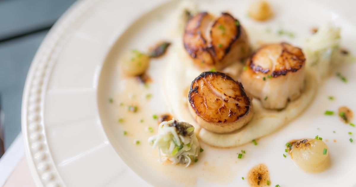 Découvrez nos recettes exquises de saint-jacques pour un Noël inoubliable