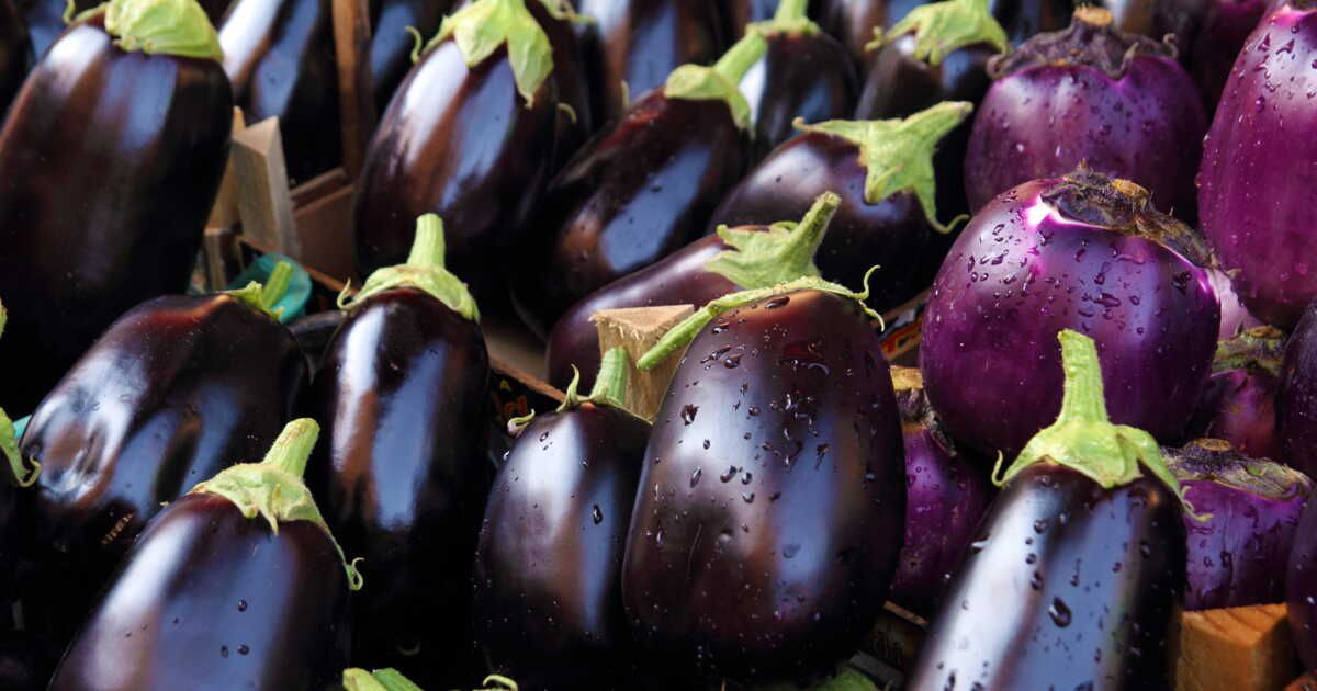 Sublimez vos plats d'été avec la tartounette aux aubergines de Christophe Michalak