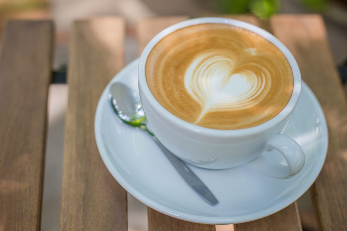 le lait préféré des baristas pour un cappuccino parfait