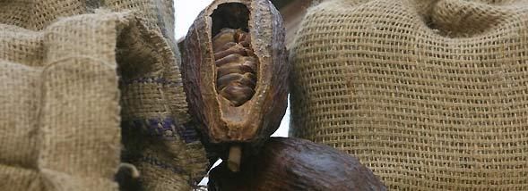 À la rencontre des merveilles de Valrhona