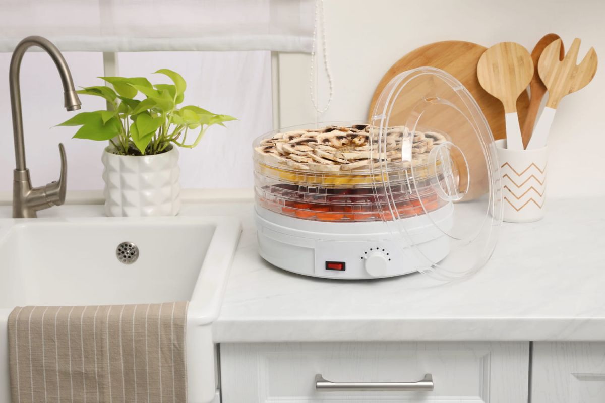 Découverte du déshydrateur alimentaire : l'accessoire essentiel pour conserver vos aliments