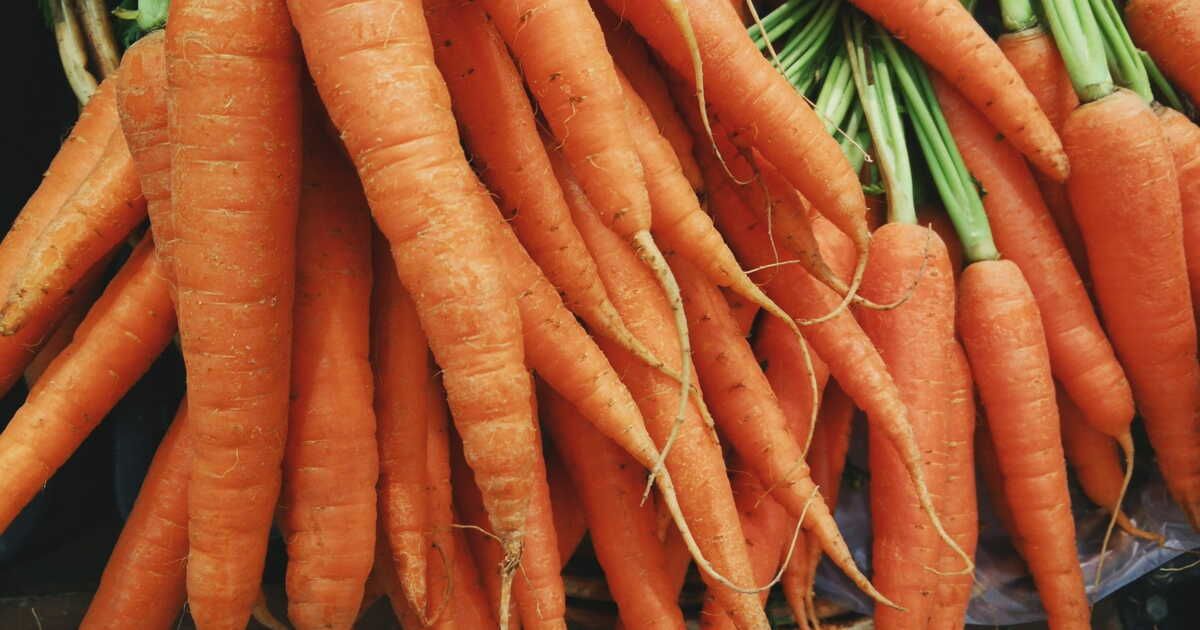 Les secrets pour bien conserver vos carottes