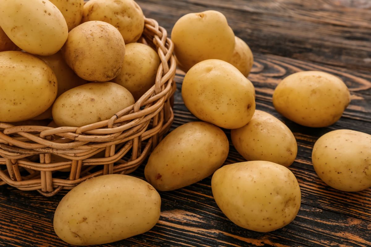 Stockage optimal des pommes de terre : le secret pour éviter la germination rapide