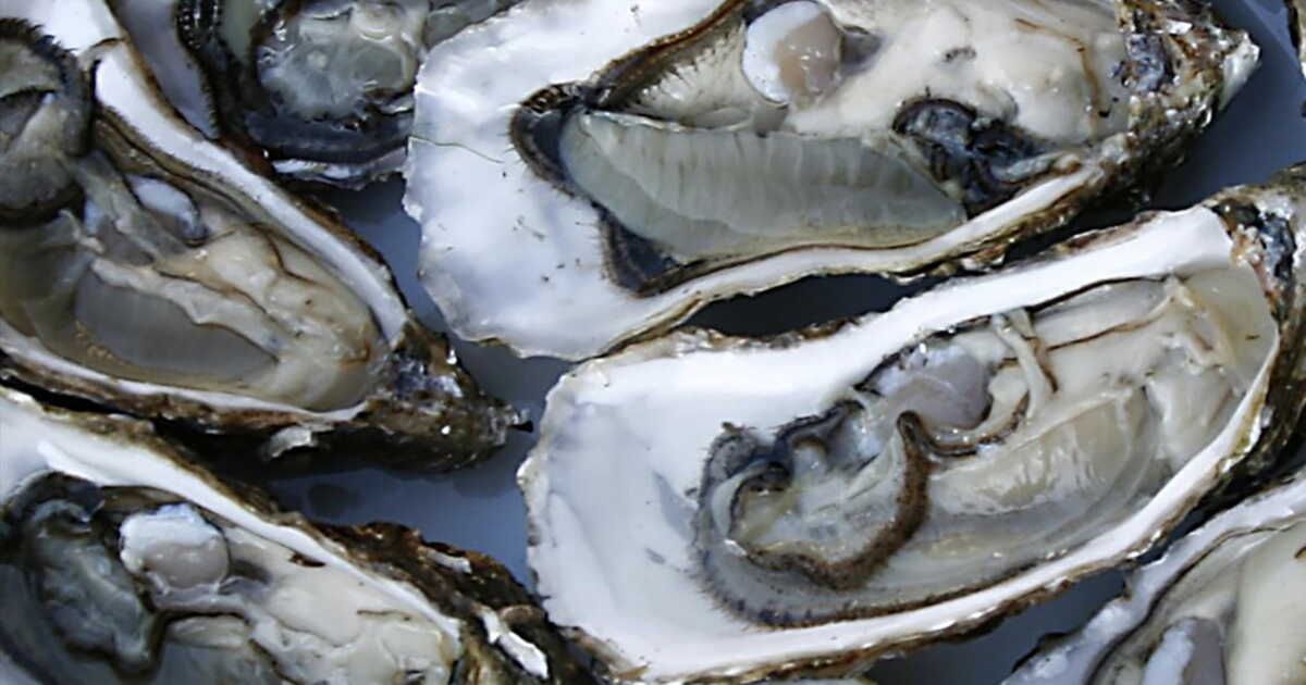 Zoom sur l'huître Marennes Oléron
